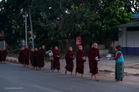 20191126__00041-5 Vers 6h du matin, les moines parcourent les rues recevant les offrandes des fidèles. Théoriquement ce sera leur seule nourriture qui devra être ingérée avant...